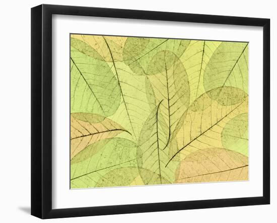 Leaf Collage I-Kathy Mahan-Framed Photographic Print