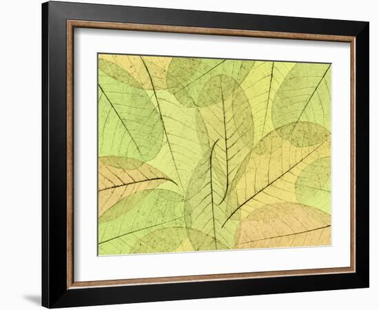 Leaf Collage I-Kathy Mahan-Framed Photographic Print