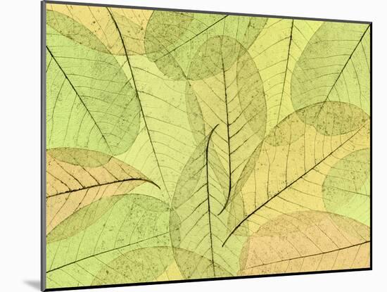 Leaf Collage I-Kathy Mahan-Mounted Photographic Print