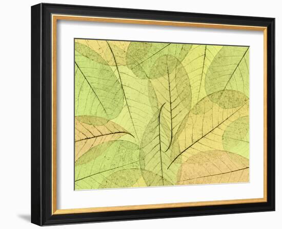 Leaf Collage I-Kathy Mahan-Framed Photographic Print