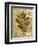 Leaf Collage I-Kate Archie-Framed Premium Giclee Print