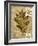 Leaf Collage I-Kate Archie-Framed Art Print