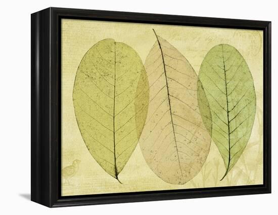 Leaf Collage II-Kathy Mahan-Framed Premier Image Canvas