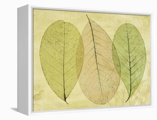 Leaf Collage II-Kathy Mahan-Framed Premier Image Canvas