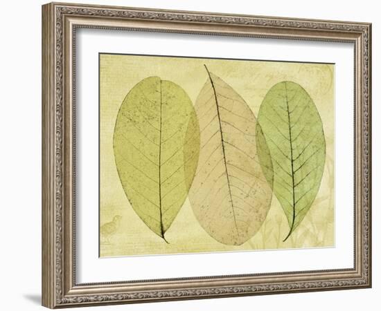 Leaf Collage II-Kathy Mahan-Framed Photographic Print