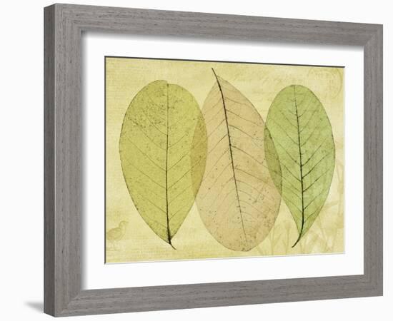 Leaf Collage II-Kathy Mahan-Framed Photographic Print