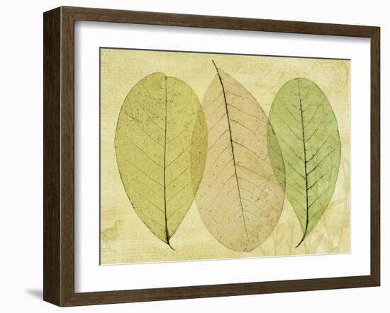 Leaf Collage II-Kathy Mahan-Framed Photographic Print