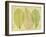 Leaf Collage II-Kathy Mahan-Framed Photographic Print