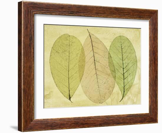 Leaf Collage II-Kathy Mahan-Framed Photographic Print