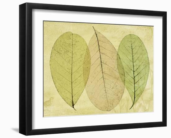 Leaf Collage II-Kathy Mahan-Framed Photographic Print