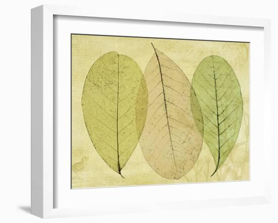 Leaf Collage II-Kathy Mahan-Framed Photographic Print