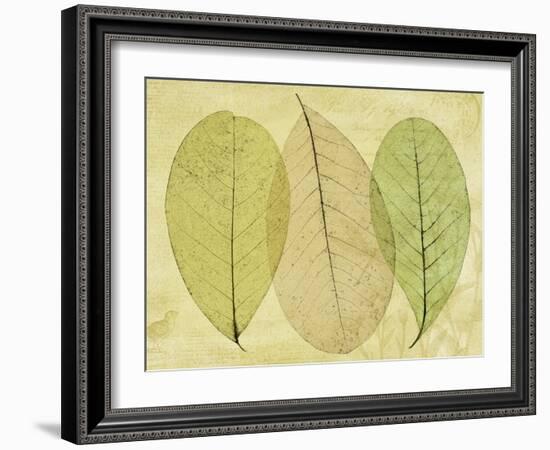 Leaf Collage II-Kathy Mahan-Framed Photographic Print