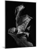 Leaf Composition, Dark-Design Fabrikken-Mounted Photographic Print