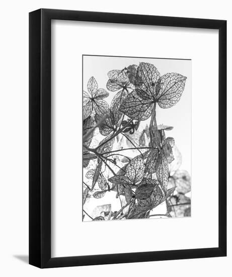 Leaf Composition-Design Fabrikken-Framed Photographic Print