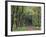 Leaf-Covered Path Through Beech Woodland in Autumn, Alnwick, Northumberland, England-Lee Frost-Framed Photographic Print