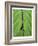 Leaf Design II-Jim Christensen-Framed Art Print