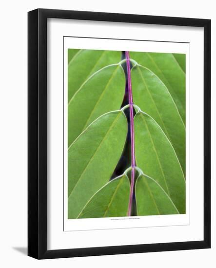 Leaf Design II-Jim Christensen-Framed Art Print