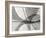 Leaf Designs I BW-Jim Christensen-Framed Photographic Print