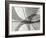 Leaf Designs I BW-Jim Christensen-Framed Photographic Print