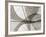 Leaf Designs I Sepia-Jim Christensen-Framed Photographic Print