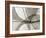 Leaf Designs I Sepia-Jim Christensen-Framed Photographic Print