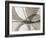 Leaf Designs I Sepia-Jim Christensen-Framed Photographic Print