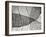 Leaf Designs II BW-Jim Christensen-Framed Photographic Print