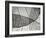 Leaf Designs II BW-Jim Christensen-Framed Photographic Print