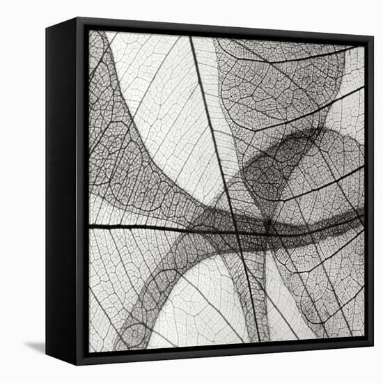 Leaf Designs III BW-Jim Christensen-Framed Premier Image Canvas