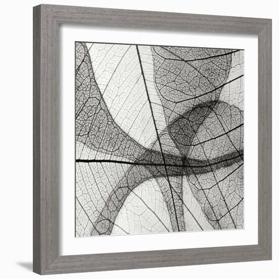 Leaf Designs III BW-Jim Christensen-Framed Photographic Print