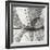 Leaf Designs III BW-Jim Christensen-Framed Photographic Print