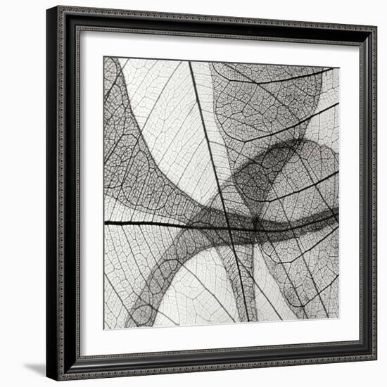 Leaf Designs III BW-Jim Christensen-Framed Photographic Print