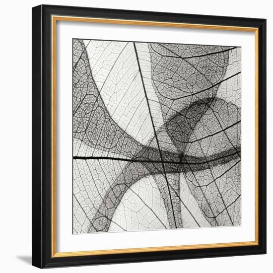 Leaf Designs III BW-Jim Christensen-Framed Photographic Print