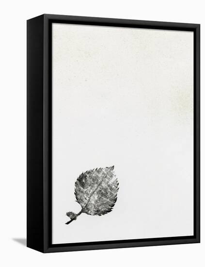 Leaf {Fay-Erie Dust}, 2014-Bella Larsson-Framed Premier Image Canvas