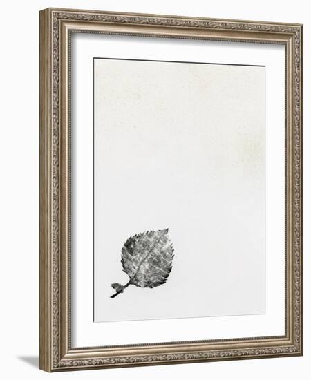 Leaf {Fay-Erie Dust}, 2014-Bella Larsson-Framed Giclee Print