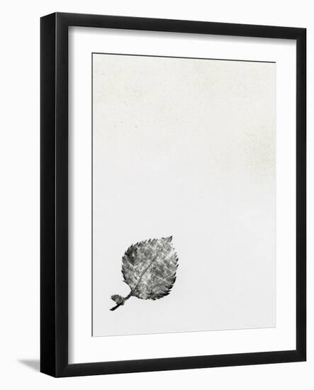 Leaf {Fay-Erie Dust}, 2014-Bella Larsson-Framed Giclee Print