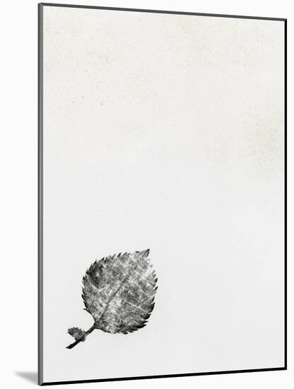 Leaf {Fay-Erie Dust}, 2014-Bella Larsson-Mounted Giclee Print