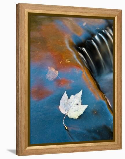 Leaf Floating in Fall Reflections, Bond Falls, Upper Peninsula, Michigan, USA-Nancy Rotenberg-Framed Premier Image Canvas