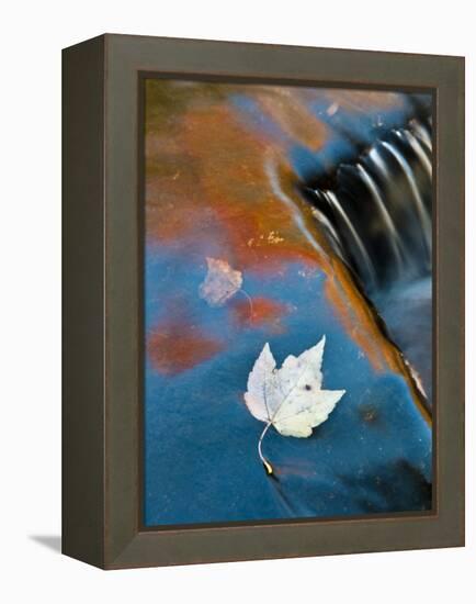 Leaf Floating in Fall Reflections, Bond Falls, Upper Peninsula, Michigan, USA-Nancy Rotenberg-Framed Premier Image Canvas