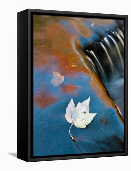 Leaf Floating in Fall Reflections, Bond Falls, Upper Peninsula, Michigan, USA-Nancy Rotenberg-Framed Premier Image Canvas