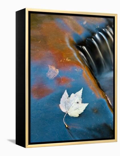 Leaf Floating in Fall Reflections, Bond Falls, Upper Peninsula, Michigan, USA-Nancy Rotenberg-Framed Premier Image Canvas