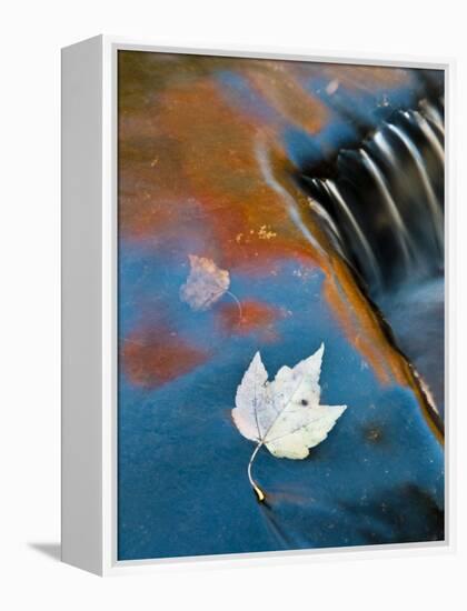 Leaf Floating in Fall Reflections, Bond Falls, Upper Peninsula, Michigan, USA-Nancy Rotenberg-Framed Premier Image Canvas