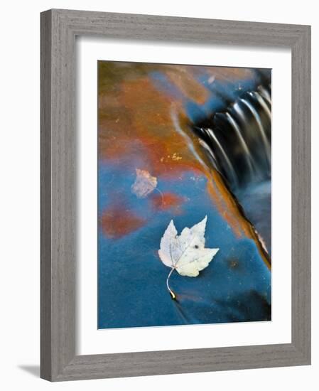 Leaf Floating in Fall Reflections, Bond Falls, Upper Peninsula, Michigan, USA-Nancy Rotenberg-Framed Photographic Print