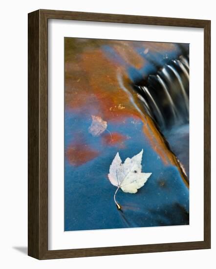 Leaf Floating in Fall Reflections, Bond Falls, Upper Peninsula, Michigan, USA-Nancy Rotenberg-Framed Photographic Print