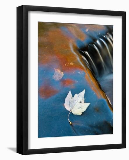 Leaf Floating in Fall Reflections, Bond Falls, Upper Peninsula, Michigan, USA-Nancy Rotenberg-Framed Photographic Print