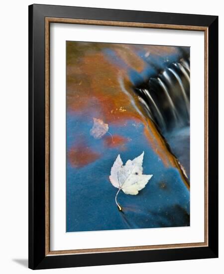 Leaf Floating in Fall Reflections, Bond Falls, Upper Peninsula, Michigan, USA-Nancy Rotenberg-Framed Photographic Print