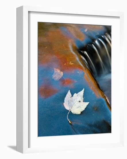 Leaf Floating in Fall Reflections, Bond Falls, Upper Peninsula, Michigan, USA-Nancy Rotenberg-Framed Photographic Print