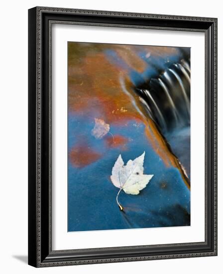 Leaf Floating in Fall Reflections, Bond Falls, Upper Peninsula, Michigan, USA-Nancy Rotenberg-Framed Photographic Print