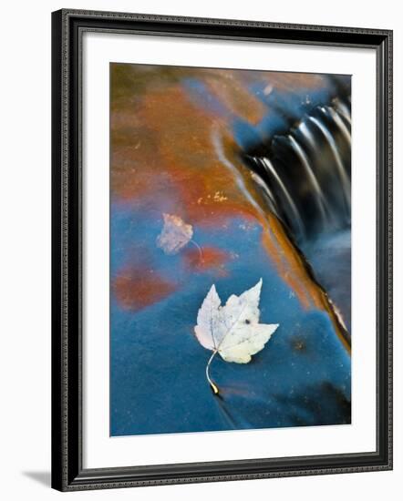 Leaf Floating in Fall Reflections, Bond Falls, Upper Peninsula, Michigan, USA-Nancy Rotenberg-Framed Photographic Print