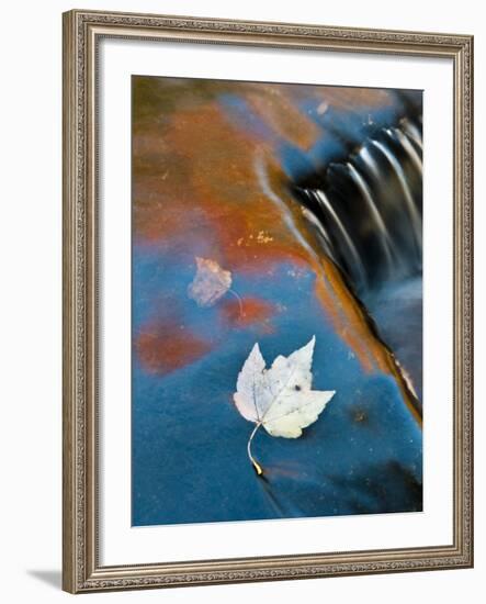 Leaf Floating in Fall Reflections, Bond Falls, Upper Peninsula, Michigan, USA-Nancy Rotenberg-Framed Photographic Print